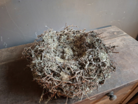Krans nest