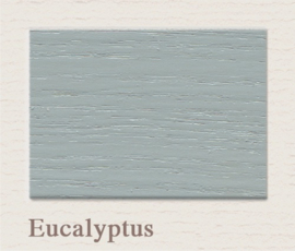 Eucalyptus