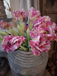 Rose tulp
