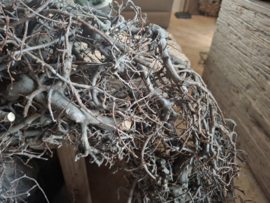 Krans bonsai wild
