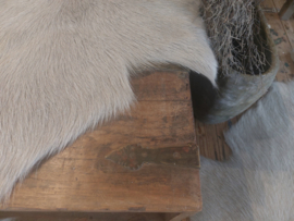 Salontafel