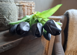 Bosje zwarte tulpen