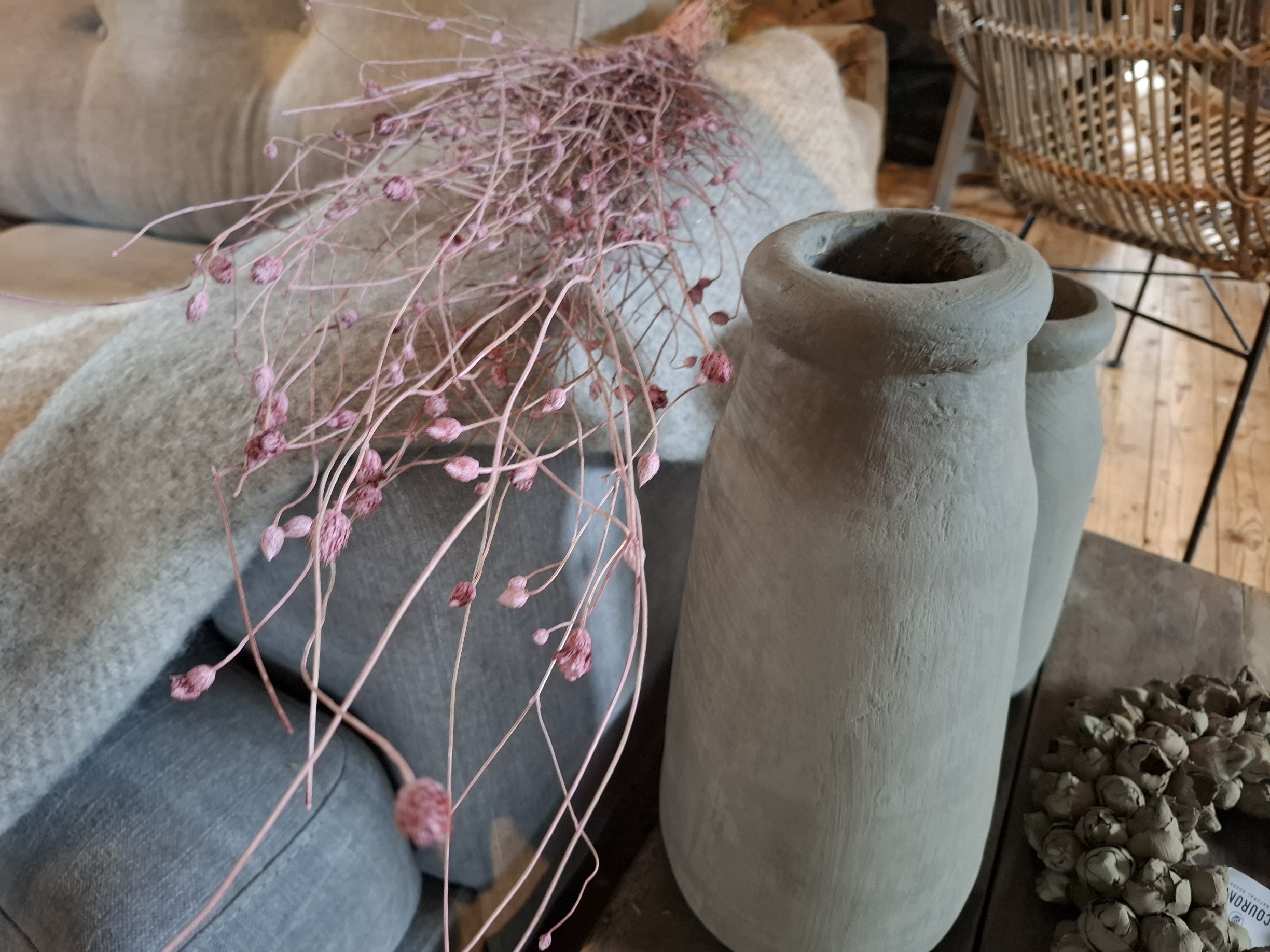 Droogbloemen rose