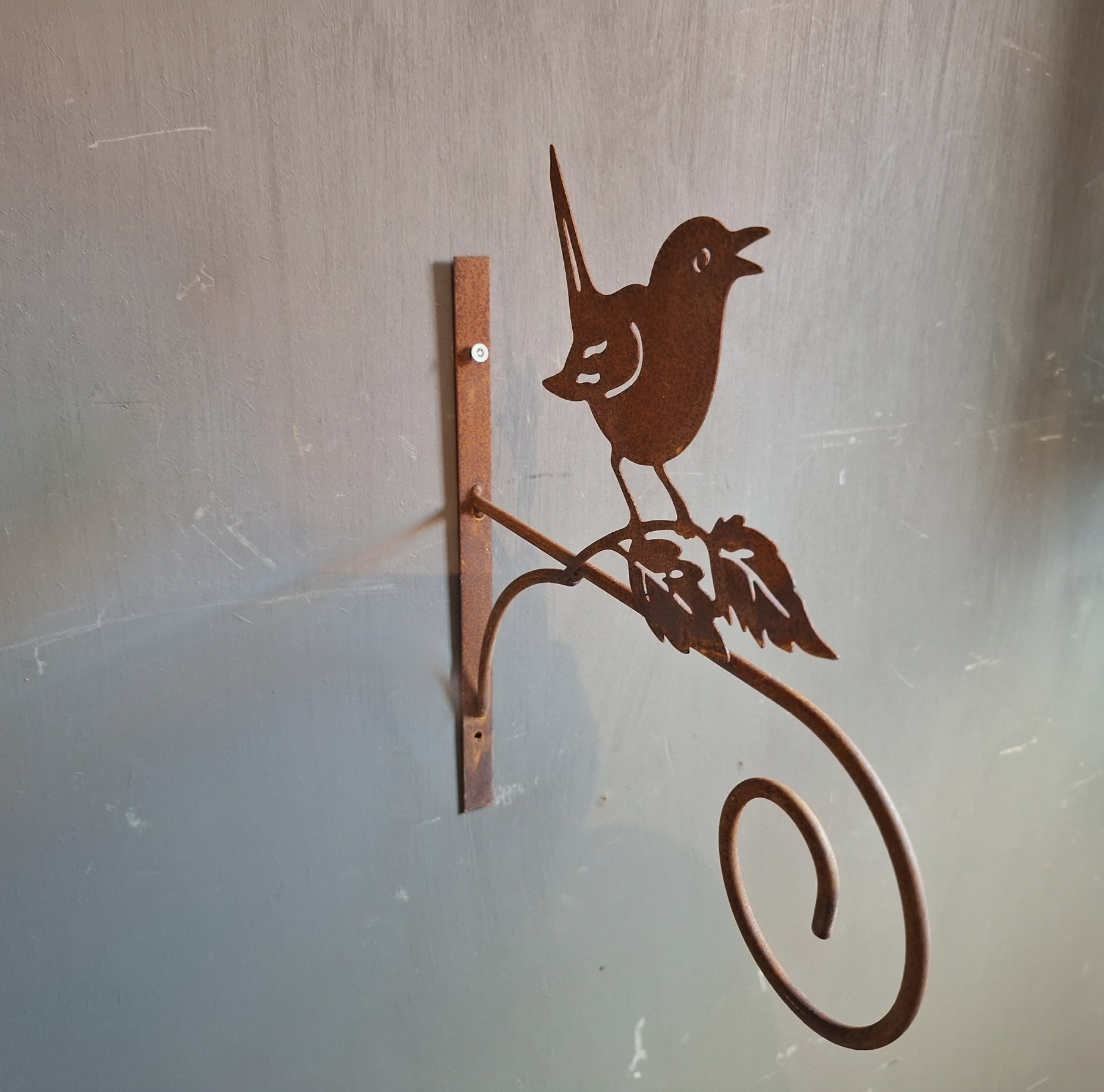 Wandhaak vogel
