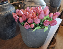 Bosje rose tulpen