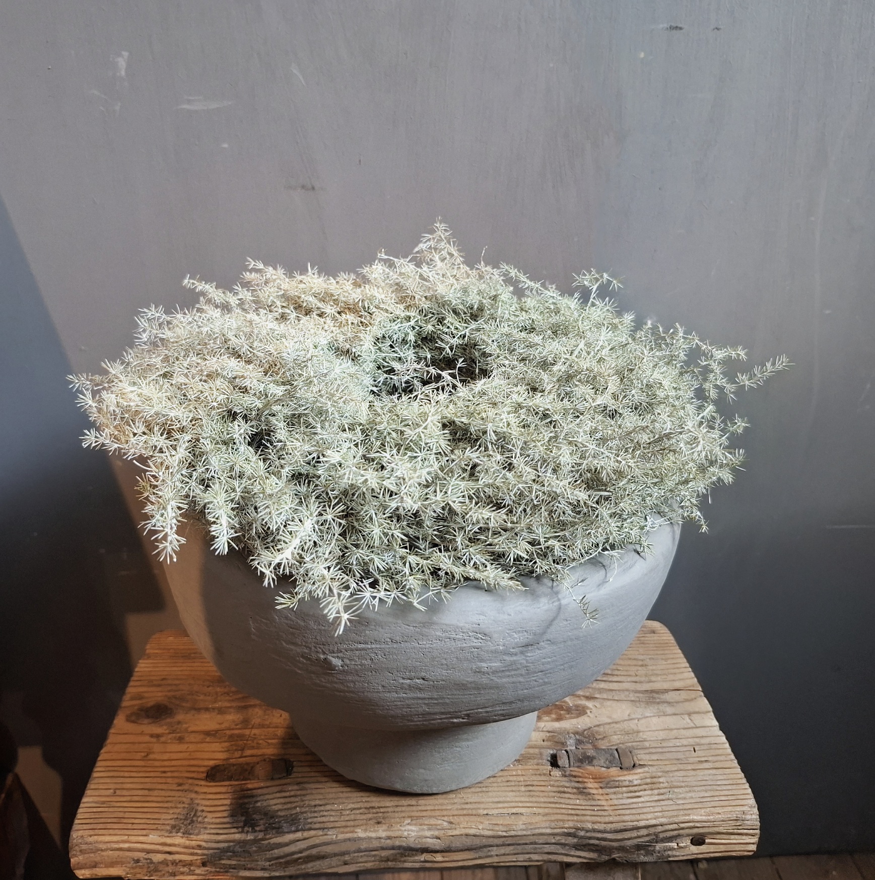 Bowl op voet