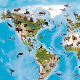 Wereldkaart met dieren - Poster - 70 x 50 cm