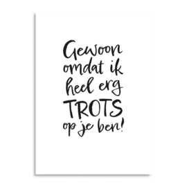 Kaartenset met 24 gevouwen kaarten + puntenveloppen