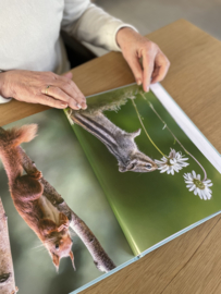 The Big Picture book for dementia