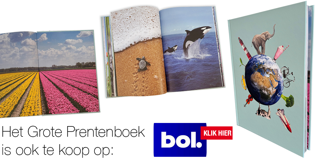 Het Grote Prentenboek - Alzheimer Magazine