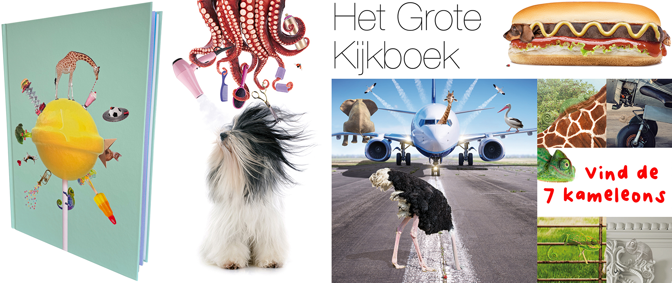 Het Grote Kijkboek