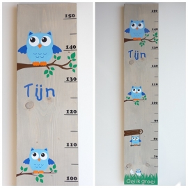 Persoonlijk kado groeimeter met naam oei ik groei uil jongen