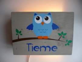 Lamp met naam uil jongen