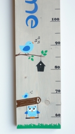 Groeimeter met naam uil en vogel  jongen