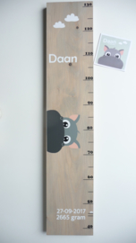Groeimeter  van geboortekaartje kraamcadeau Daan