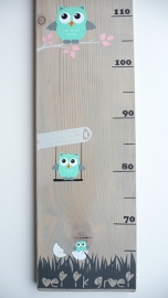 Groeimeter met naam oei ik groei uil meisje mintgroen