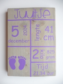Geboortebord met geboortegegevens tekstblokken voetjes meisje