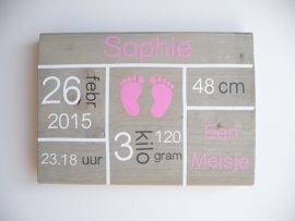 Geboortebord met geboortegegevens blokken rechthoek meisje