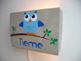 Lamp met naam uil jongen