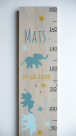 Groeimeter  van geboortekaartje kraamcadeau