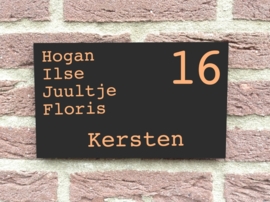 Voordeur naambord Naam midden groot