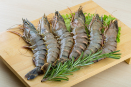 Gamba met kop (middel)