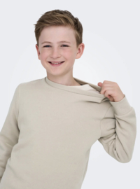 Only & Sons - Trui - Sweater - OSJCERES - Silver Lining
