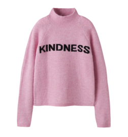 Name It - Sweater - NKFNEVAEH - Knit - Kindness - Begonia Pink