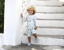 Lässig -  Zwembroek - Ijscowagen - Truck - Met zwemluier - Lichtblauw