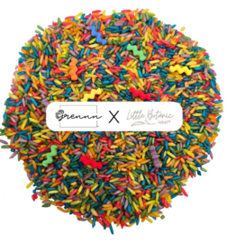 # Grennn x Little Botanic label waves regenboog speelset compleet