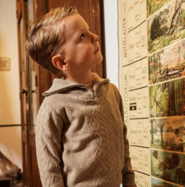 Koko Noko - Trui - Sweater -  Taupe - Maat 134