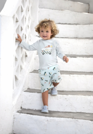 Lässig -  Zwembroek - Ijscowagen - Truck - Met zwemluier - Lichtblauw