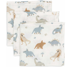 Jollein - Hydrofiel - Monddoekje - Roarsome - 31x31 cm - 3 stuks