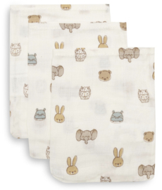 Jollein - Hydrofiele washandjes -15x20cm -  Jollies - 3 stuks