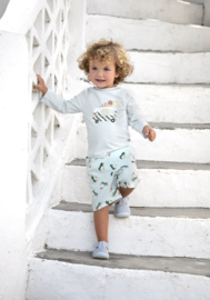 Lässig - UV zwemshirt - Longsleeve - Ijscowagen - Truck - Lichtblauw