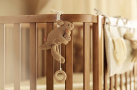 Jollein - Muziekhanger - Kangaroots