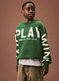Name It - Gebreide Trui - Sweater - NKMNORTH - Eden