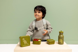 Trixie - Snackboxen - Mr. Dino - 3 stuks - Groen