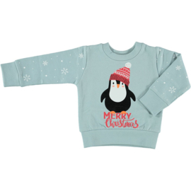 Apollo - Baby - Kerstsweater - Kersttrui - Lichtblauw - Pinguïn - Unisex