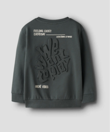 Name It - Trui - Sweater - NMMBenja - Backprint - Urban Chic