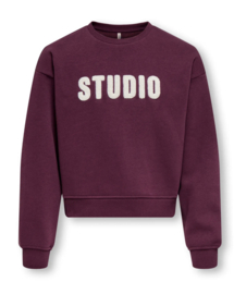 Only - Sweater - KOGSWEAT - Studio - Terry