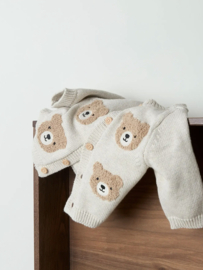 Name It - Knit - Vest - NBMOBASE - Beertjes - Peyote Melange