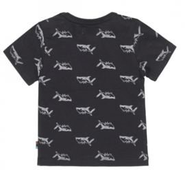 Dirkje - T-shirt - Navy - Shark