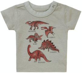 Noppies - T-shirt - Momence - Dinosaurus - Willow - Grey