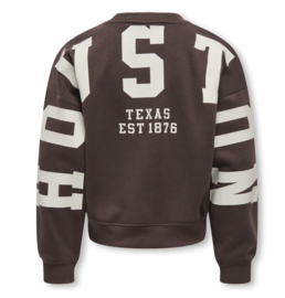 Only - Sweater - KOGSWEAT - Texas - Coffee Bean