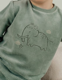 Noukie's - Pyjama - Mammoet - Groen - Unisex