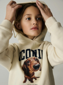 Name It - Hoodie - NKFSERA - Iconic - Birch