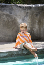 Lässig - Zwembroek - Scooter - Dog - Hond - Met zwemluier - Groen