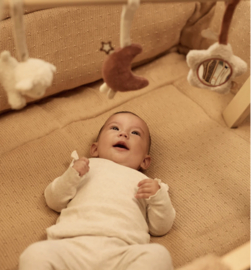 Jollein - Babygym speeltjes - Woolly