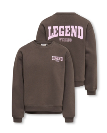 Only - Sweater - KOGVICKY - Legend Vibes - Bracken